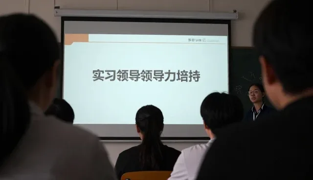 项目咨询中的选型关注点解析与应对策略